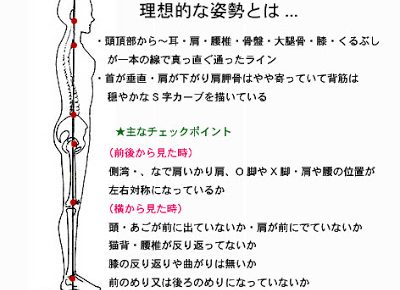 施術の考え方 理想 思う事 慢性腰痛 坐骨神経痛なら豊中カイロプラクティック整体院